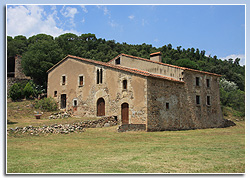 Can Molins, Sant Feliu de Buixalleu